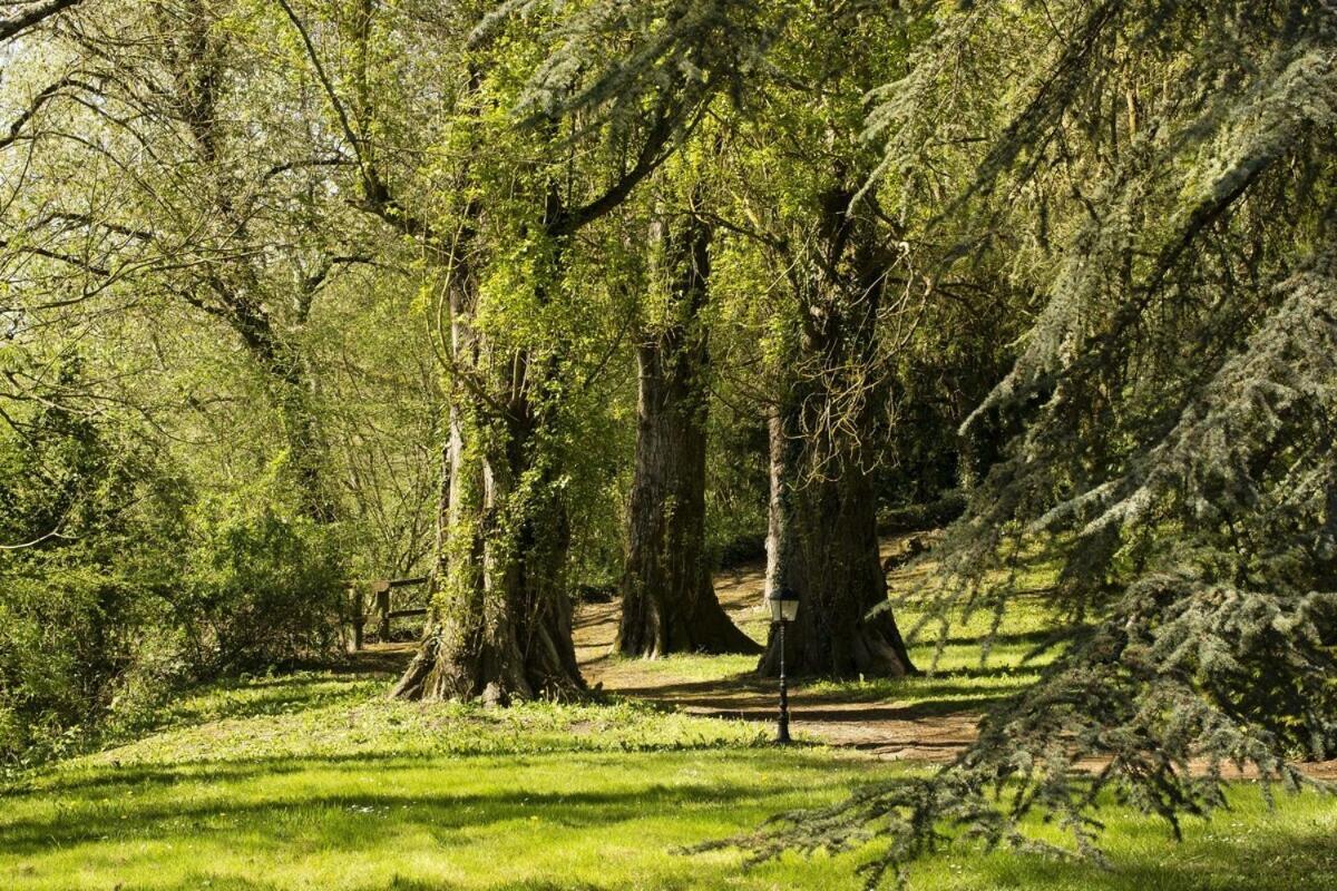 Chateau Laroche-Ploquin Sepmes Екстер'єр фото